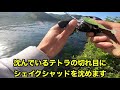 【琵琶湖バス釣り】奥琵琶湖のモンスター捕獲‼️クリアウォーター＆テトラ帯のデカバスの狙い方‼️