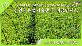 [전남 / 신안군] 신안군농업기술센터 비금면지소 T.061-240-4182