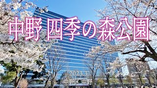 中野区散策【中野四季の森公園】2023.3.東京都中野区中野