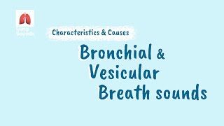 Breath Sounds - Vesicular vs Bronchial