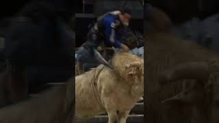 Bull Rider's Shocking Collision: Face Meets Bull