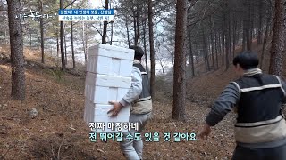 [심봤다! 내 인생의 보물 '산양삼'] 산속을 누비는 농부, 상빈 씨~~