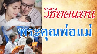 วิธีทดแทนพระคุณพ่อแม่ | คลิปธรรมะดีดี | EP.152 | 10-06-65 | ThanavuddhoStoryOfficial