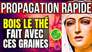 Révélation divine aujourd'hui | Prophétie de tribulation à Luz de Maria -Avertissements Vierge Marie