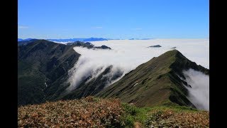 谷川主脈縦走|仙ノ倉山周辺から見る雲海と滝雲