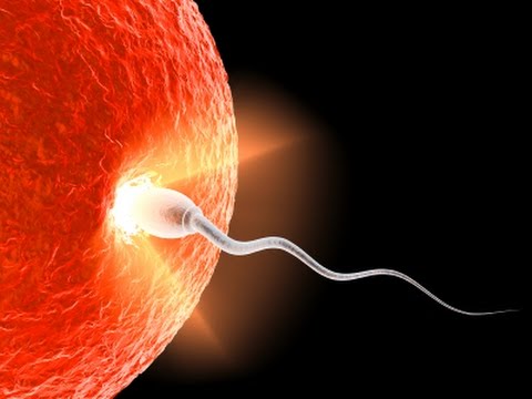Can I ever get pregnant with uterine fibroids Can I ever get pregnant with uterine fibroids