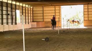 Trot through a couple of months ago on sister. #horse #barrelracing #equine #shorts #equestrian