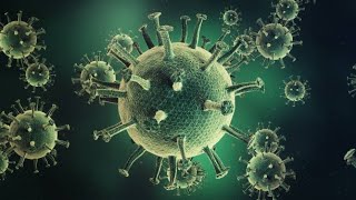 ¿Qué significa pasar de pandemia a endemia con el COVID-19?