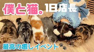 【イベント風景】僕と猫。1日店長、最高に癒しの時間だった……