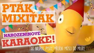 11 let Ptáka Mixiťáka | Karaoke verze