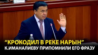 «Крокодил в реке Нарын» – Депутат спросил у Иманалиева, нашли ли крокодила?