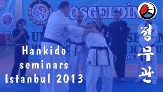 Istanbul H.K.D. seminars 2013: Hankido techniques 02