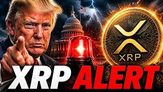 If You Hold XRP Watch This Now