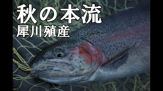 秋の本流　犀川殖産