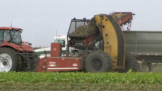 AgweekTV: Sugar beet harvest ride along