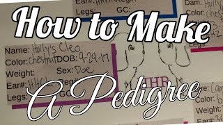Holly's Hollands Rabbitry || How to Make a Pedigree