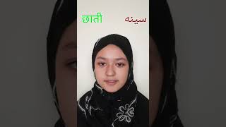 10 शरीर के अंगों के नाम फारसी में। Part 2। 10 body parts name in persian. Part 2.