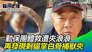 動保團體救遭夾浪浪　再發現剩貓掌白骨捕獸夾｜三立新聞網SETN.com