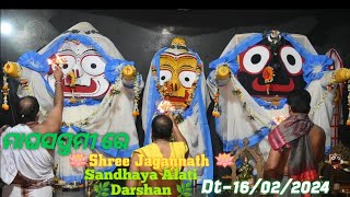 ମାଘସପ୍ତମୀ ରେ Shree Jagannath Sandhaya Alati Darasahan Dt-16/02/2024