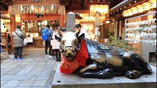 4K HD  (京都歩) Kyoto Nishiki-Tenmangu Shrine Nishiki-Tenmangu Shrine  (WALK IN JAPAN-KYOTO)