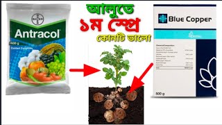 আলুতে প্রথম স্প্রে - ব্লু কপার vs এন্ট্রাকল ।কোনটি ভালো।কার কাজ বেশি। Blu Copper.Antracal Fungicide.