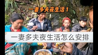 现实中一妻多夫夜生活是如何安排的？谁才是一家之主？每天都在演绎不同的人间疾苦！一妻多夫和一夫多妻有什么不同