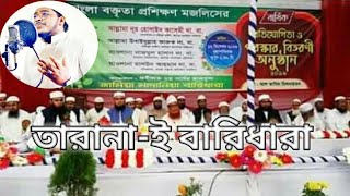 Taranae Baridhara 2019 || Mahmud Huzaifa || Amdadul Hoque official || তারানা-ই বারিধারা