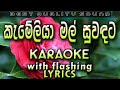 Kameliya Mal Suwadata Karaoke with Lyrics (Without Voice)