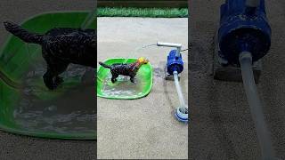 Mini dog water bath mini motor water pump science project video # 408