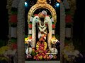 முருகன் அருகில் இருக்க🦚✨🙏 முருகா murugan murugan முருகன் aanmeegam lordmurugan muruganthunai