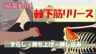 vol.91 【結帯動作】(新) 棘下筋リリース法‼