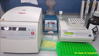 DNA extraction from Sandfly Phenol chloroform method- Part 2