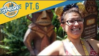 Tiki Room Update | More than just a minor refurb? | 07/28/18 pt 6