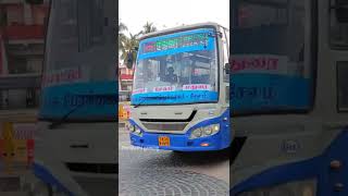 NNN VS TNSTC BULE 💙 BIRD 🕊️ MASS ENTRY IN MADURAI #shorts #reels #tnstc #madurai #trending