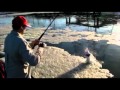 The Average Angler Fishing Adventures Video Preview