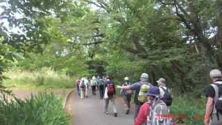 2013 0614京成バスシステム＜オオムラサキの里＞