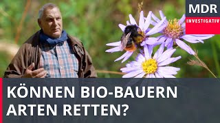 Öko vs. konventionell – Können Bio-Bauern Arten retten? | Doku