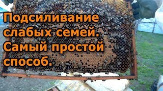 Подсиливание слабых семей. Самый простой способ.