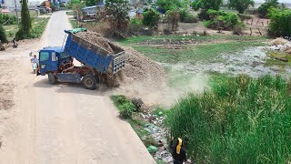 Landfilling Operation Project by Mini MITSUBISHI Dozer With Dump Trucks Team Work