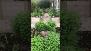 Can you believe how well this Chaos Garden turned out? It’s so easy! #gardening #plants #flowers