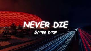 NEVER DIE - Shree brar 🎧Lyrics