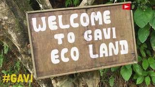 ഗവി | #Gavi Kerala | Gavi Forest Drive  | Gavi trip