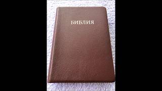 Russian Bible - Burgundy Vinyl Bound