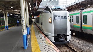 [大船なのに成田空港に行かないNEX？発車ベル・電笛あり]回9742M E259系 Ne-003編成 臨時特急しおさい81号銚子行の送り込み回送 回送列車が電笛を鳴らして大船駅5番線を発車するシーン