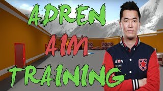 CSGO: Gambit AdreN aim training