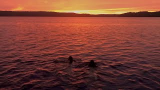 sunset swim