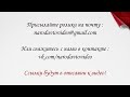 Настройка холостого карбюратора ОЗОН чего не нужно делать.