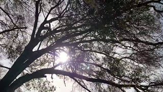 Battling climate anxiety