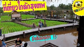 PukkapaoTV | คาเฟ่ทุ่งนา กินกาแฟ คอกาแฟ ชมวิวนาข้าวสีเขียว นครนายก