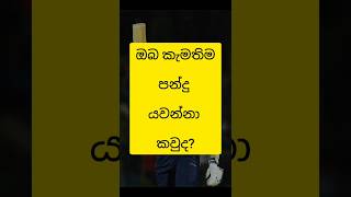 ඔබ කැමතිම පන්දු යවන්නා කවුද?😇.......❤️......👿👊 #top #games #cricket #travel